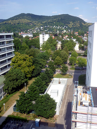 Entwicklungsperspektiven der Ruprecht-Karls-Universität Heidelberg